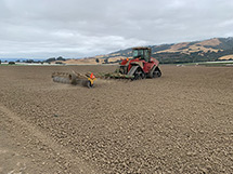 Listing the rows